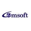 Comsoft Infotech Logo