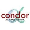 Condor Alpha Asset Management Logo
