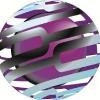 Conexus Recovery & Field Services Logo