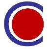 Congruent Solutions Logo