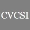 Connecticut Valley Computer Services Logo