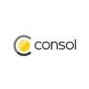 ConSol Consulting & Solutions Software Logo