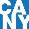 Consulting Associates of New York Logo