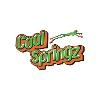 Cool Springz Logo