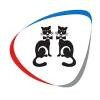 Copy Cat Logo