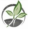 Cornerstone VNA Logo