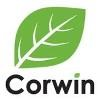 Corwin Automotive Group Logo