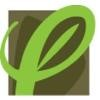 Cosmetic Solutions Logo