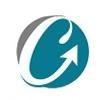 Cotek Systems Logo
