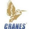 Cranes Software International Limited Logo