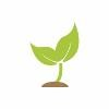 Creative Sprout Logo