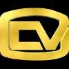 Creative Video Logo