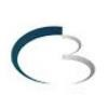 Credit Brasil Logo