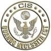 Critical Intervention Services Logo