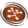 Critical Watch Logo