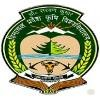 CSK HPKV Logo