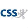 CSS Logo