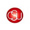 CSU Channel Islands Logo