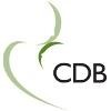 Custom Design Benefits Logo
