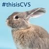 CVS Group Logo