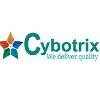 Cybotrix Technologies Logo