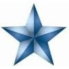 Dallas County Schools Logo