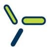Dandara Logo
