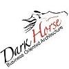 Dark Horse IT Consultancy Logo