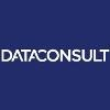 Data Consult Logo