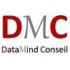 DataMind Conseil Logo