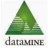 Datamine Logo