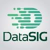 DataSig Logo