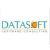 Datasoft Software Consulting Logo