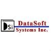 Datasoft Systems Logo
