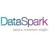 DataSpark Logo