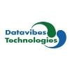 Datavibes Technologies Logo