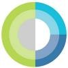 David Logo