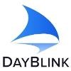 DayBlink Consulting Logo