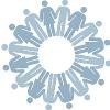 DCI Donor Services Logo