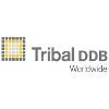 DDB & Tribal Logo