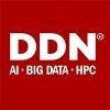 DDN Storage Logo