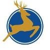 Dearing Compressor & Pump Logo