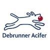 Debrunner Logo