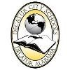 Decatur City Schools Logo