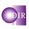 Decision Information Resources Logo