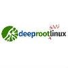 DeepRoot Logo