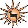 Deer Valley Unified School District Logo