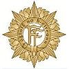 Defence Forces Ireland Logo