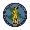 Delaware National Guard Logo