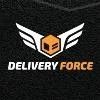 Delivery Force Logo